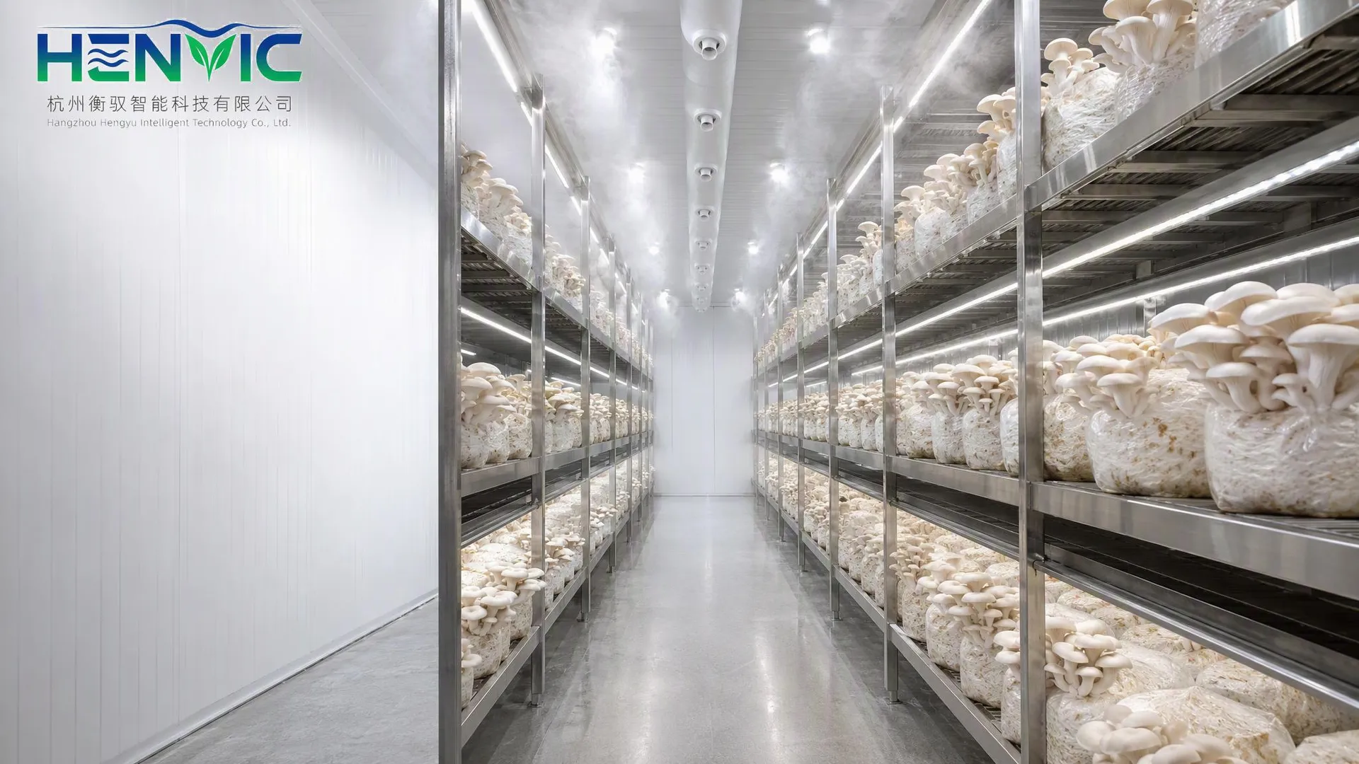 Revolutionizing Fungal Cultivation: The Containerized Modular System for Mushroom Farming