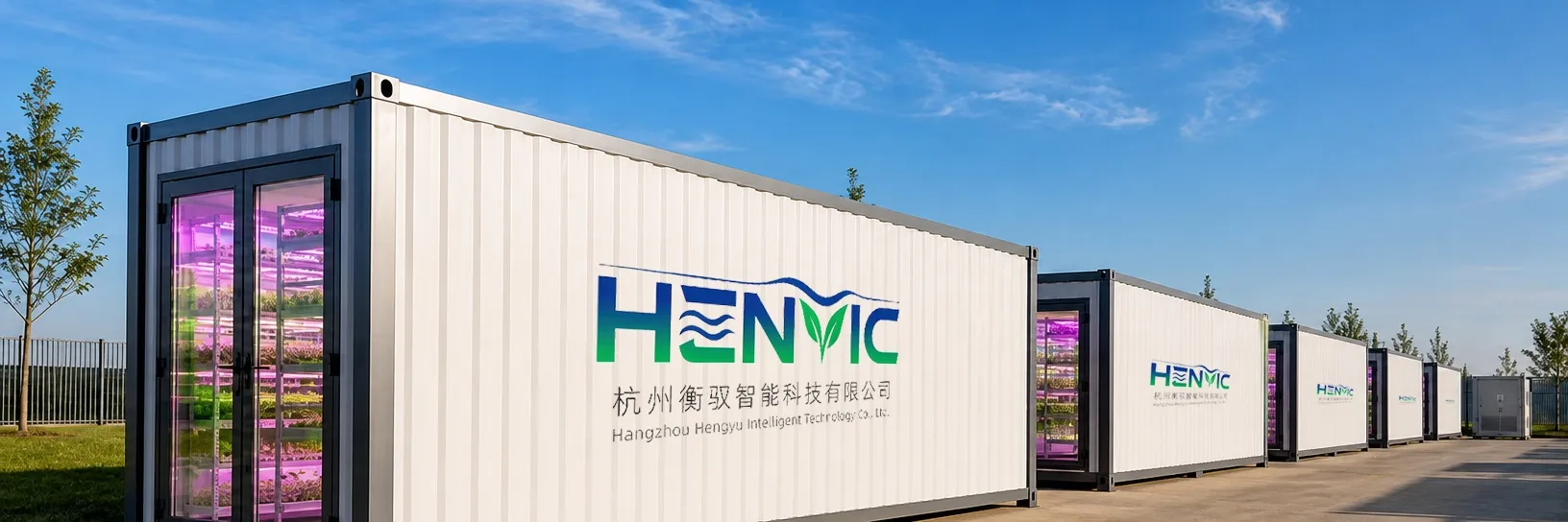 40 ft Vegetable Container Farm Romaine Lettuce Programme 2